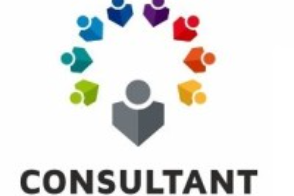 Consultant